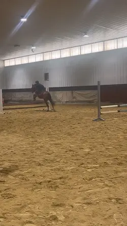 Best pony 