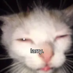 larry with cats