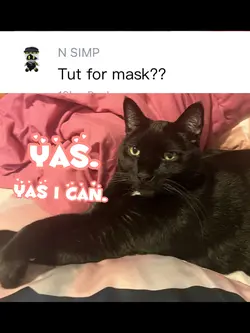 Cardboard Mask Tut