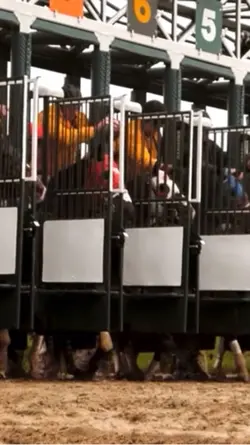 Horse racing sucks.