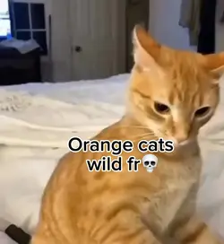 💀