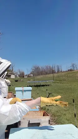 Hive Split