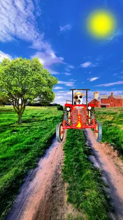 Riding My Tractor