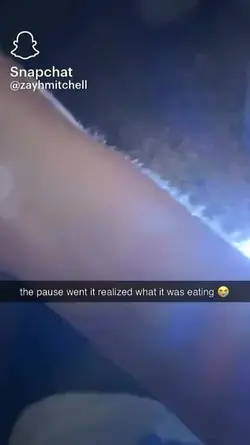 "wait what?"