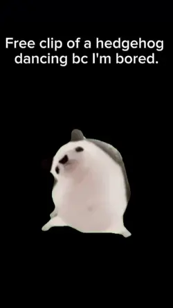 Hedgehog dancing 