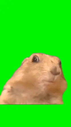 Dramatic gopher