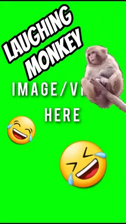 Laughing Monkey