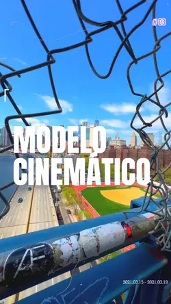 MODELO PROFISSIONAL 