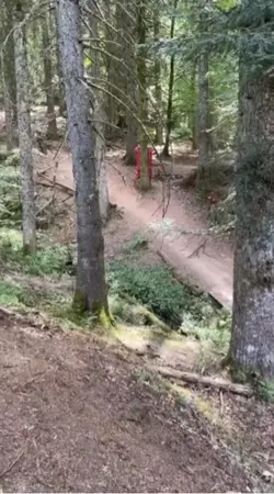Bike fall