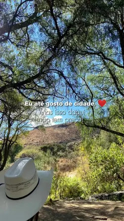 pecuaria 