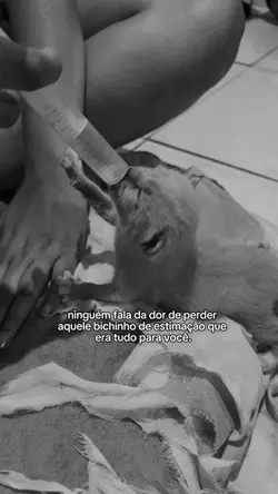 Perder seu bichinho 