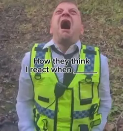 Screaming guy meme