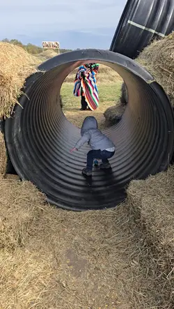 simple transition 