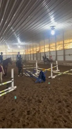 Love this mare!!