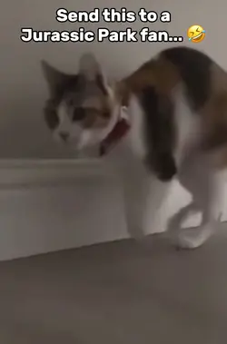Jurassic Cat
