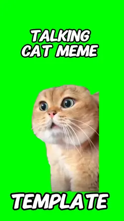 Talking cat 