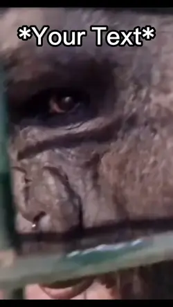 Zesty Gorilla