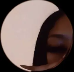 FISH EYE TREND |
