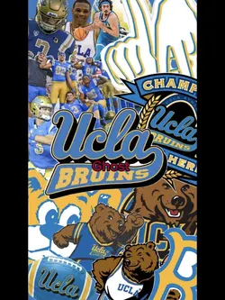 Bruins 💛💙