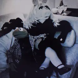 kermit bc yes