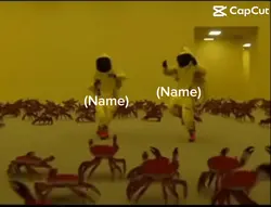 𝐁𝐀𝐂𝐊𝐑𝐎𝐎𝐌𝐒 𝐌𝐄𝐌𝐄