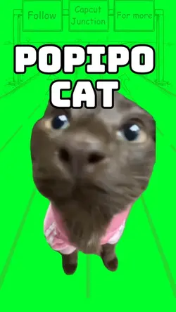 PoPiPo Cat