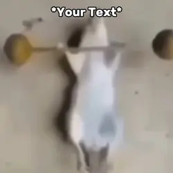 Rat Grinding