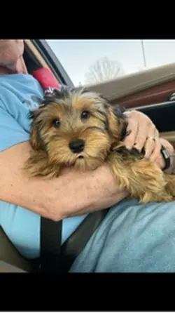 Meet our new bab