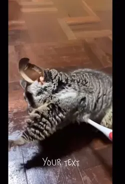 Brushing 