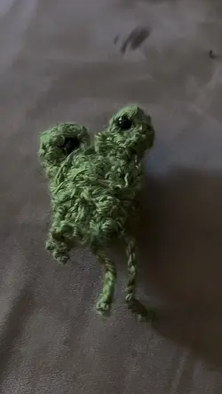 I made a frog 