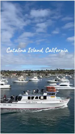 Catalina Island Vlog