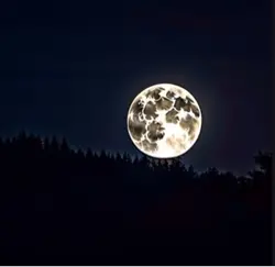 Moonlight