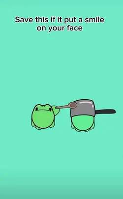 Frog meme 