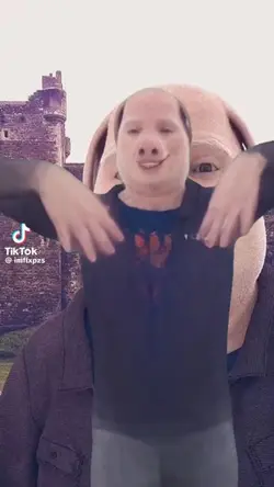 Brainrot barsss