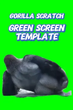 Gorilla Scratch