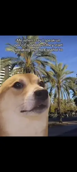 spanish dog meme