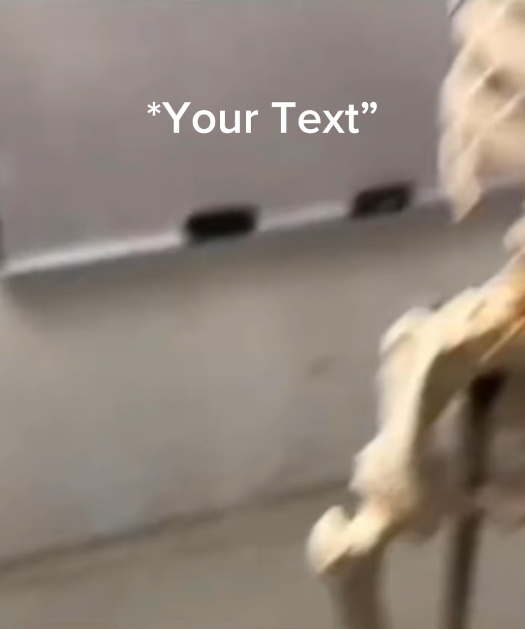 mewing-skeleton-video-template-by-capcut