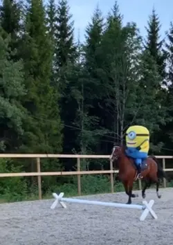 MINIONSSSSS