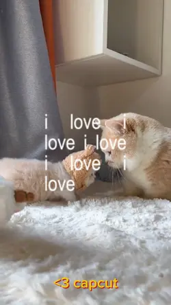 I Love
