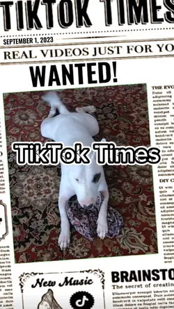 TikTok Times Wanted