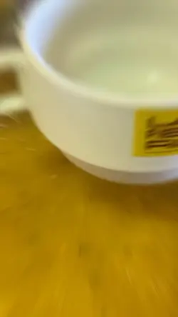 Caldos 