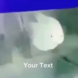 Screaming Fish Meme