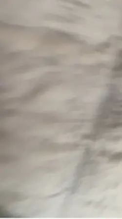 Boot