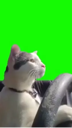Green screen 