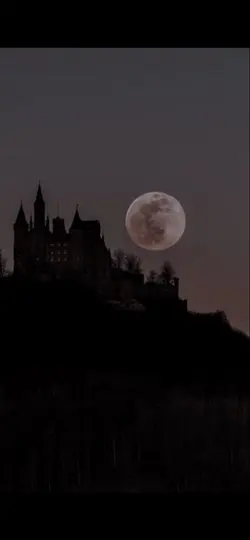 Uma edit aleatória 
