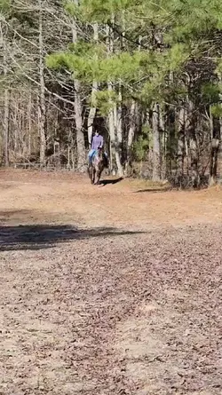 Don't Hop