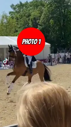 Horse dancing