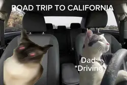 Road trip to Califor