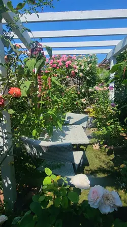 Lovemarie garden