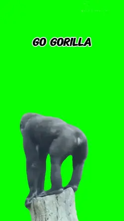 gorilla dance meme